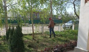 Сотрудники ветуправления Белореченского района провели субботник на территории учреждения