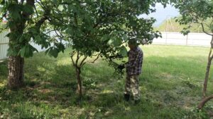 Сотрудники ветуправления Белореченского района провели субботник на территории учреждения