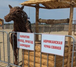 В Краснодарском крае прошли межрегиональные командно-штабные учения с привлечением заинтересованных служб и ведомств по ликвидации очагов опасных болезней животных