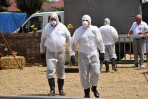В Краснодарском крае прошли межрегиональные командно-штабные учения с привлечением заинтересованных служб и ведомств по ликвидации очагов опасных болезней животных