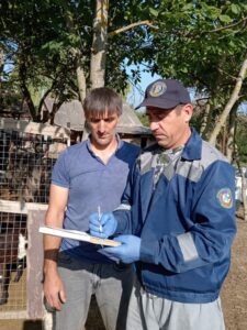 Специалисты Белореченского ветуправления продолжают ветсанмониторинг подсобных хозяйств