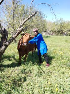 План противоэпизоотических мероприятий в работе