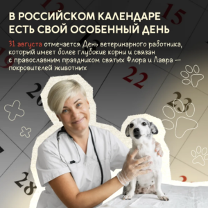 Международный день ветеринарного врача