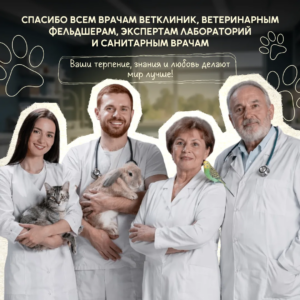 Международный день ветеринарного врача