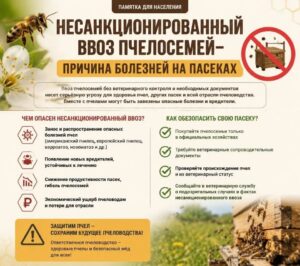 Памятки, рекомендации