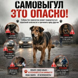 Памятки, рекомендации
