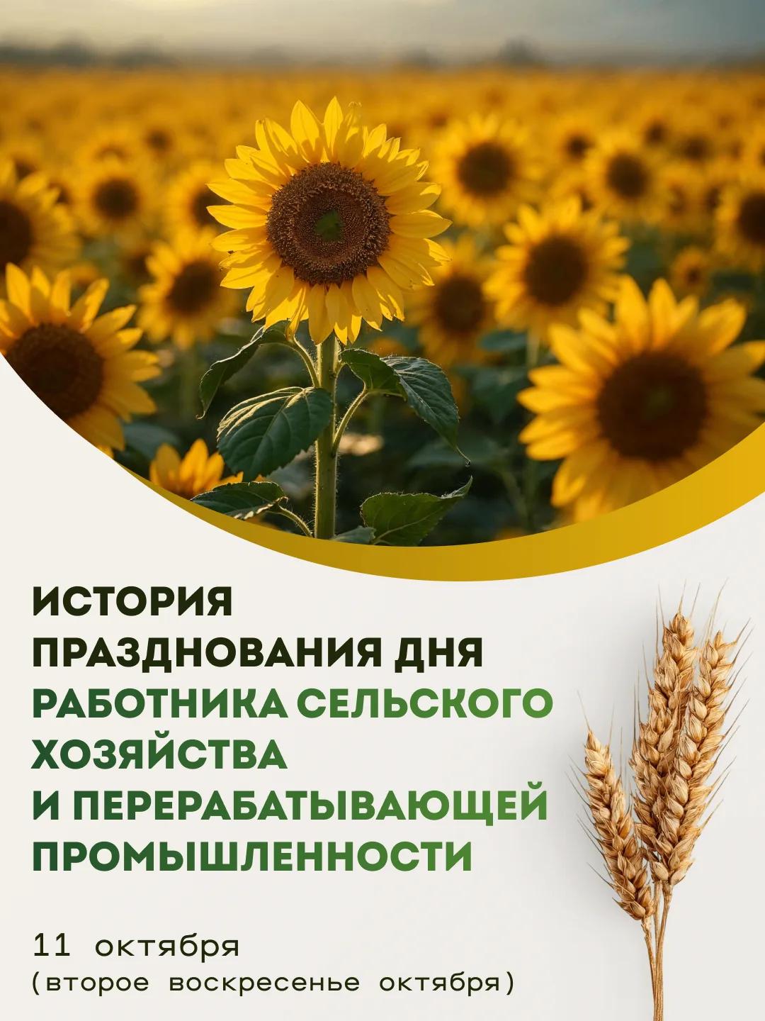 День работника сельского хозяйства и перерабатывающей промышленности
