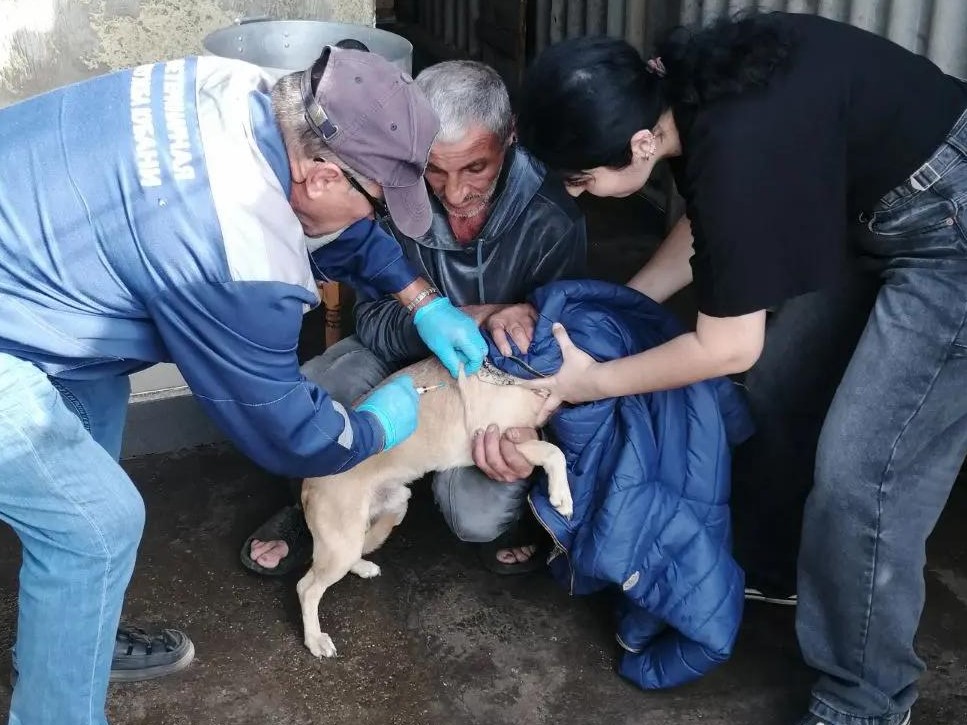 В Белореченском районе продолжается вакцинация домашних животных от бешенства